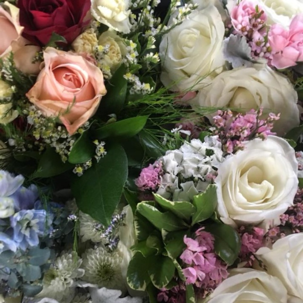 Meet your Posher, Jenna